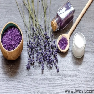 <strong>薰衣草精油的功效及在芳香理疗中的应用 </strong>