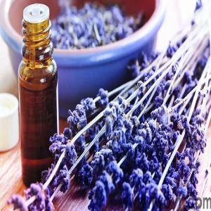 <strong>万用精油：薰衣草精油的30种作用及使用方法合集！</strong>