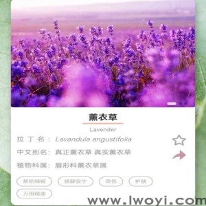 魅容薰衣草精油的功效与用法是什么？求告知~？