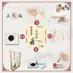 <strong>三伏贴/30贴/盒</strong>